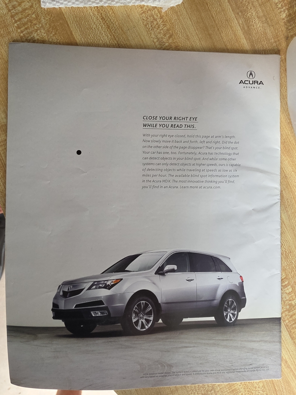 White Rabbit Poster - Cover - Picture 2 of 2